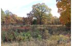 Tract 6 - OKLAHOMA LAND & REAL ESTATE AUCTION, 438 +/- Acres offered in 13 Tracts